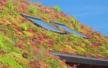 How Caple living roof systems